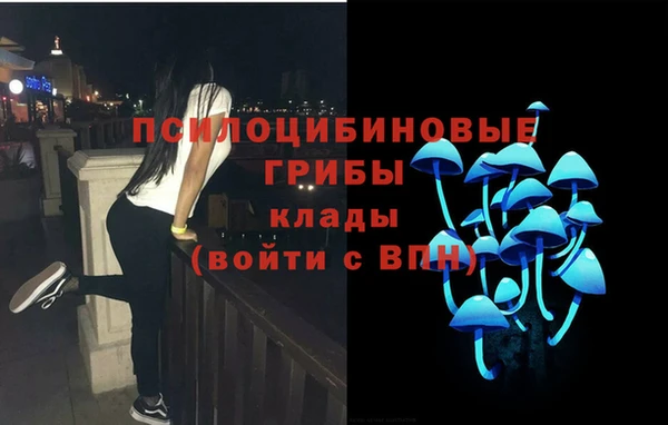 МДПВ Волосово