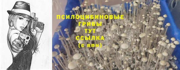 скорость mdpv Верхний Тагил