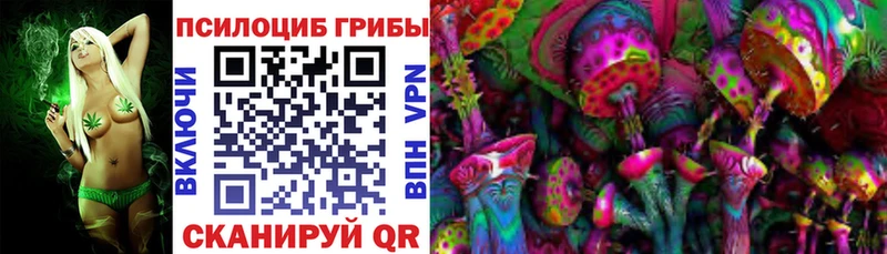 где найти   Добрянка  Псилоцибиновые грибы Cubensis 